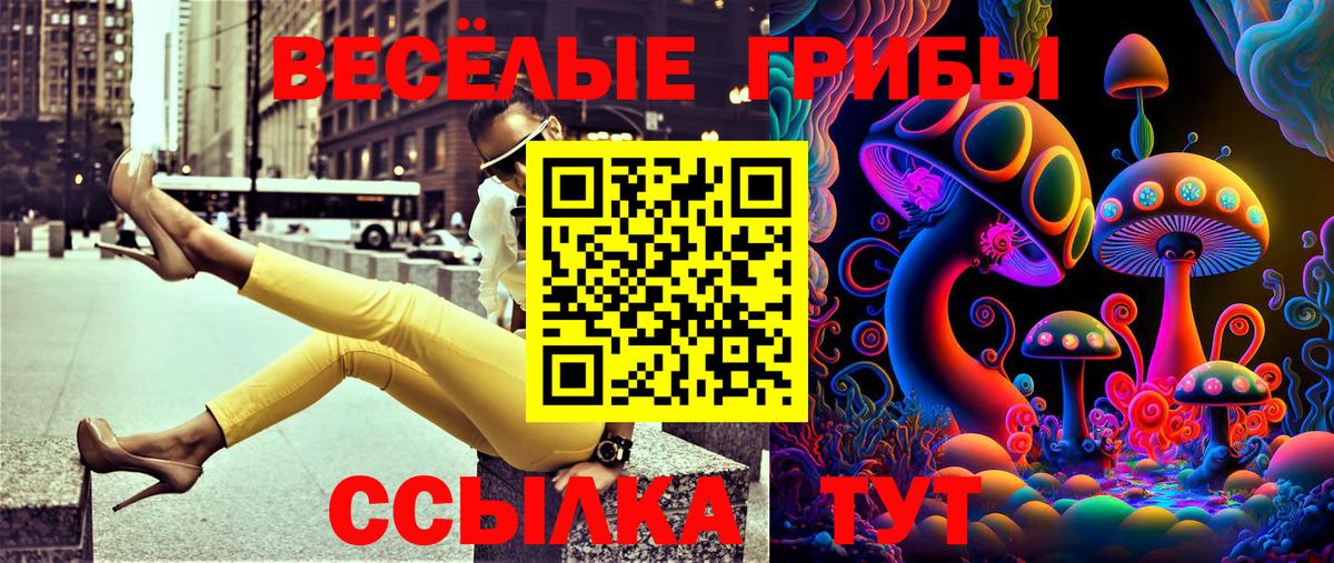 Галлюциногенные грибы Psilocybine cubensis  Вход с VPN  Урюпинск  Галлюциногенные грибы прущие грибы 